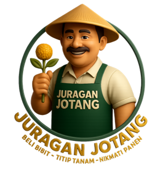 Bunga Spilanthes acmella segar dengan latar belakang perkebunan hijau yang subur